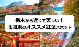 北関東のオススメ紅葉スポット