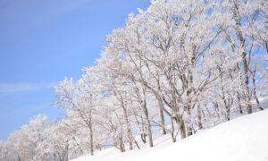 車内で雪見酒を満喫