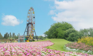 東京ドイツ村