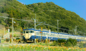 房総半島の海岸線