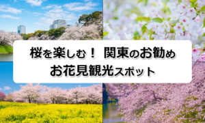 桜を楽しむ! 関東のお勧めお花見観光スポット