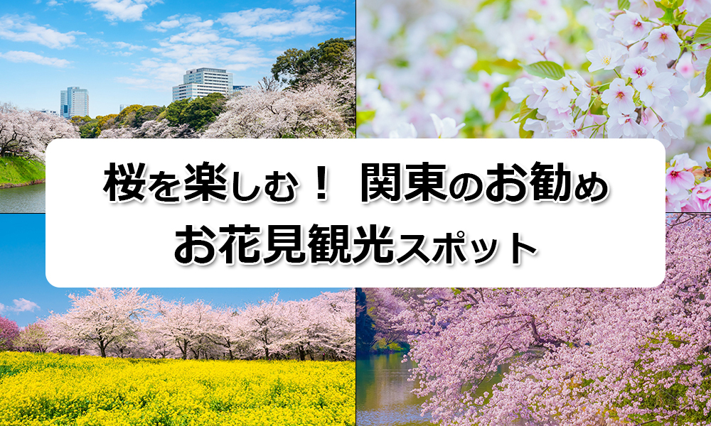 桜を楽しむ! 関東のお勧めお花見観光スポット