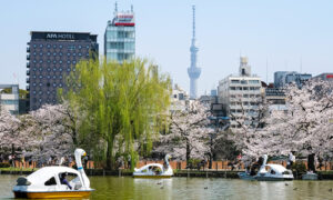 上野恩賜公園