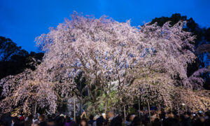 六義園