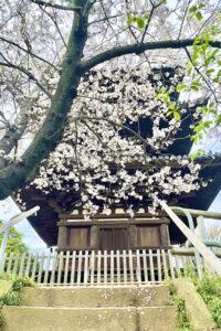 三溪園