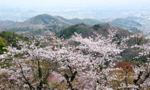 太平山風致公園