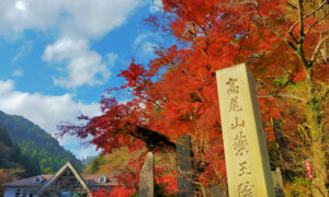 高尾山