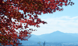 宝登山