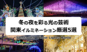 冬の夜を彩る光の芸術~関東イルミネーション厳選5選~
