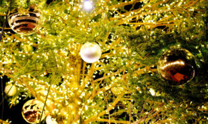 イルミネーションイメージ