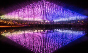 あしかがフラワーパーク 光の花の庭