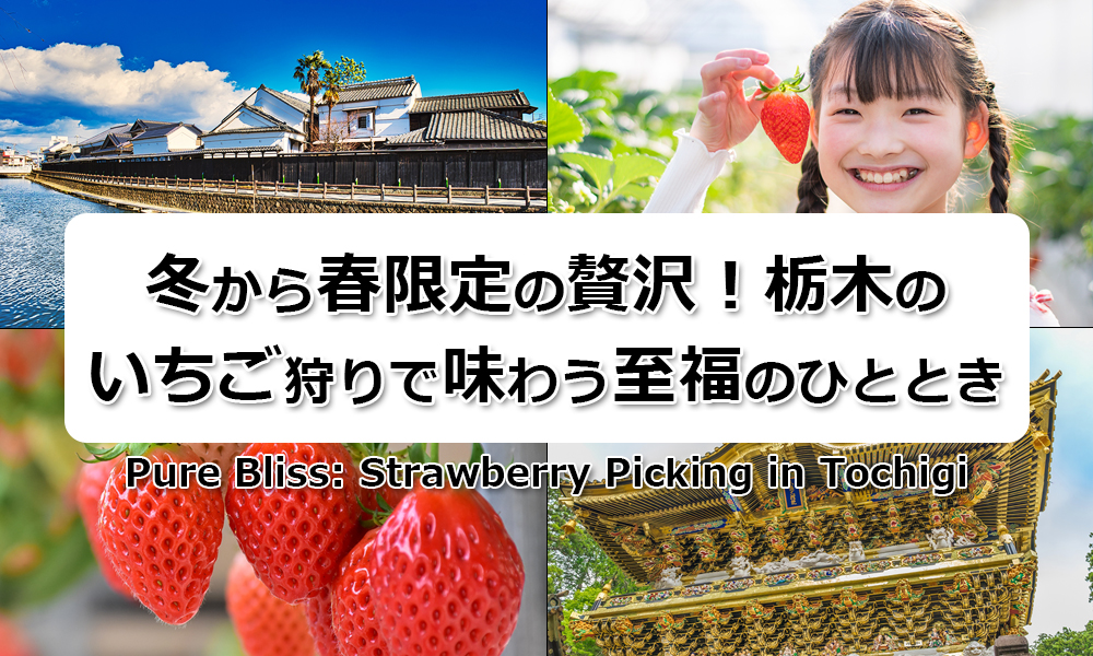 冬から春限定の贅沢! 栃木県のいちご狩りで味わう至福のひととき