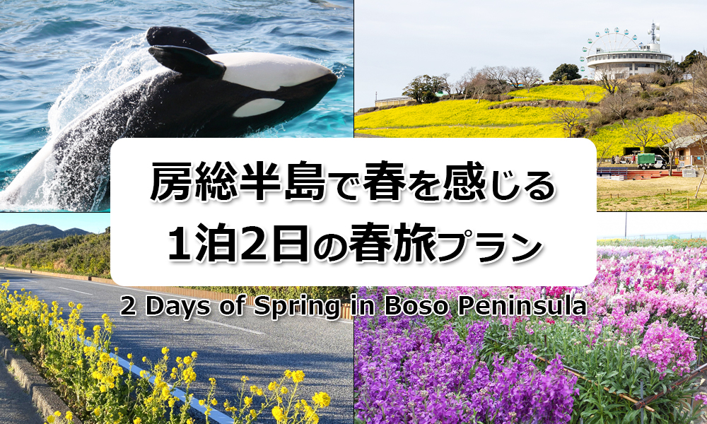 房総半島で春を感じる1泊2日の春旅プラン